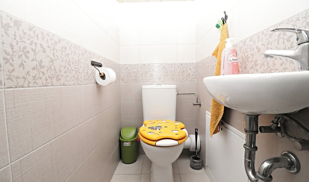 Prodej bytu 3+kk 74 m², Planá nad Lužnicí – náhled fotky 17