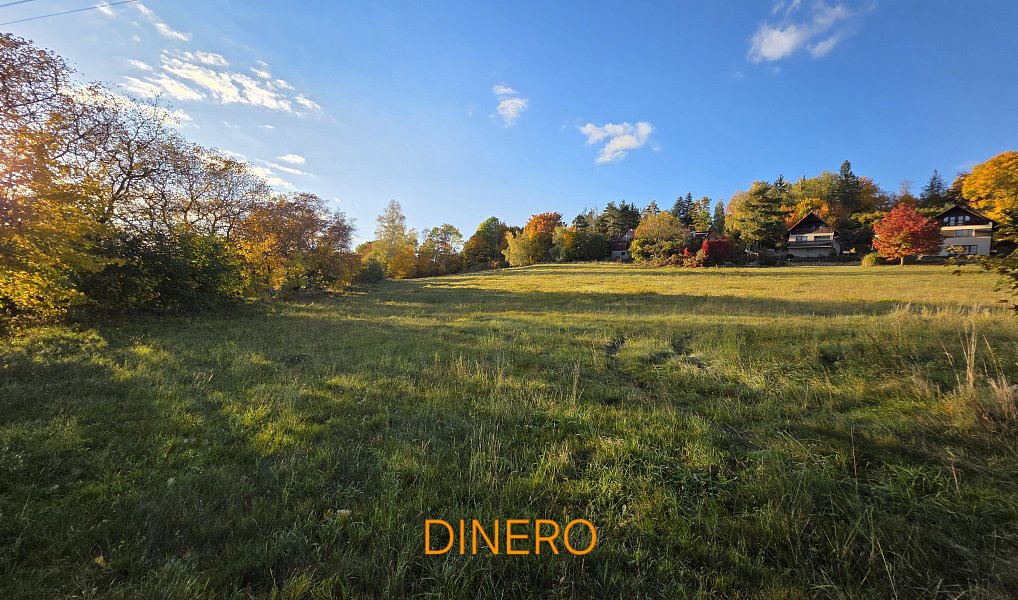 Prodej stavebního pozemku 1 634 m², Lipnice nad Sázavou – náhled fotky 3