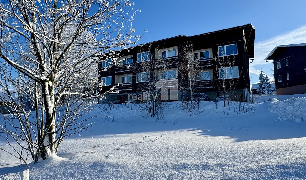 Prodej komerčního objektu (jiného typu) 500 m², Kořenov – náhled fotky 7