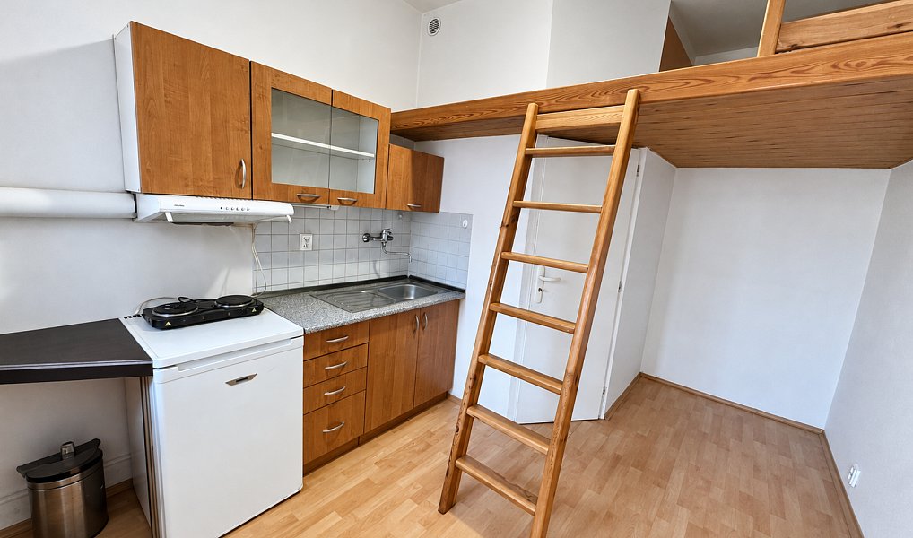 Pronájem bytu 1+kk 13 m², Praha – náhled fotky 2