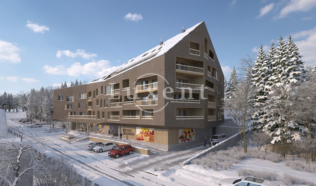 Prodej bytu 3+kk 112 m², Železná Ruda – náhled fotky 15