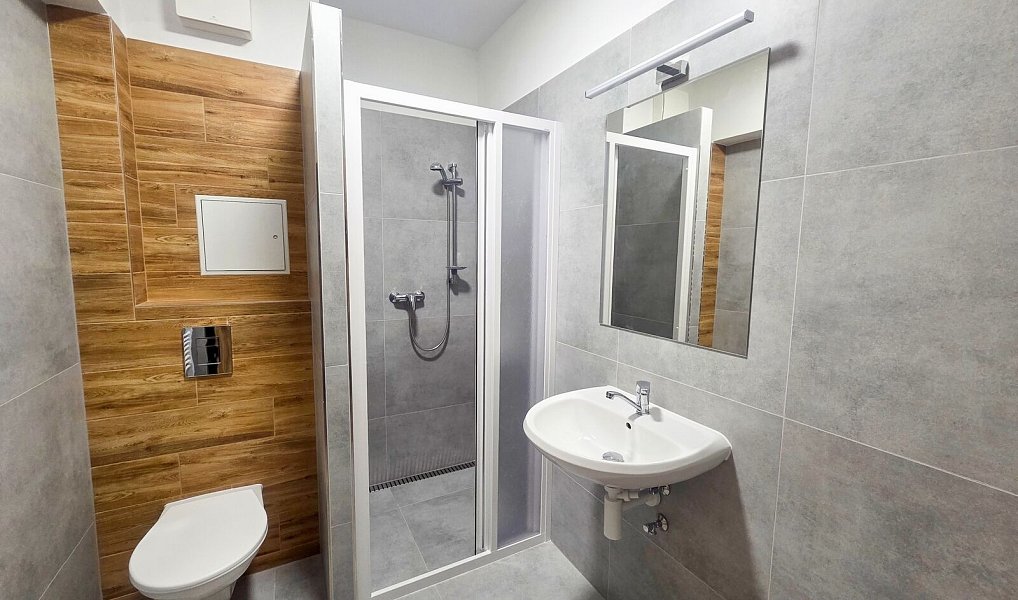 Pronájem bytu 1+1 44 m², České Budějovice – náhled fotky 8