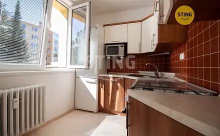 Pronájem bytu 1+1 33 m²