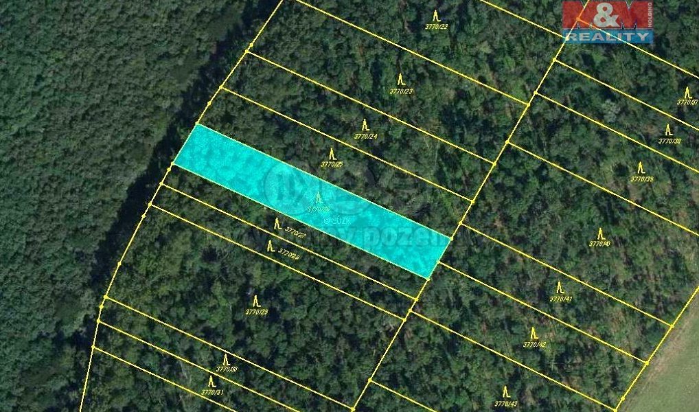Prodej lesa 1 476 m², Uherčice – náhled fotky 4