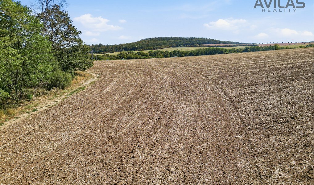 Prodej stavebního pozemku 4 169 m², Babice u Rosic – náhled fotky 10