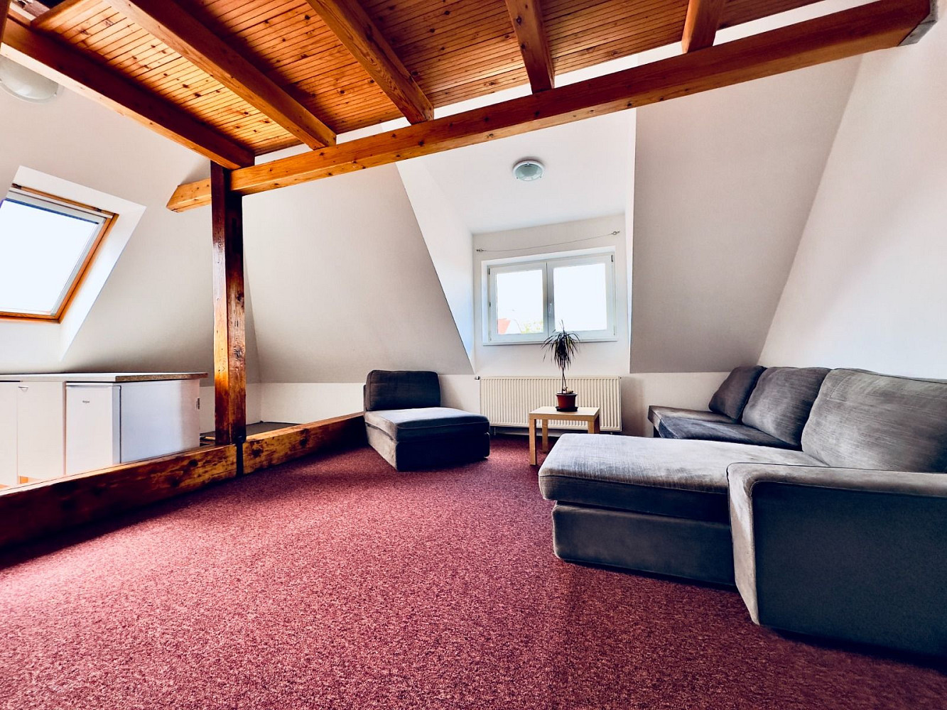Pronájem bytu 1+kk 45 m²