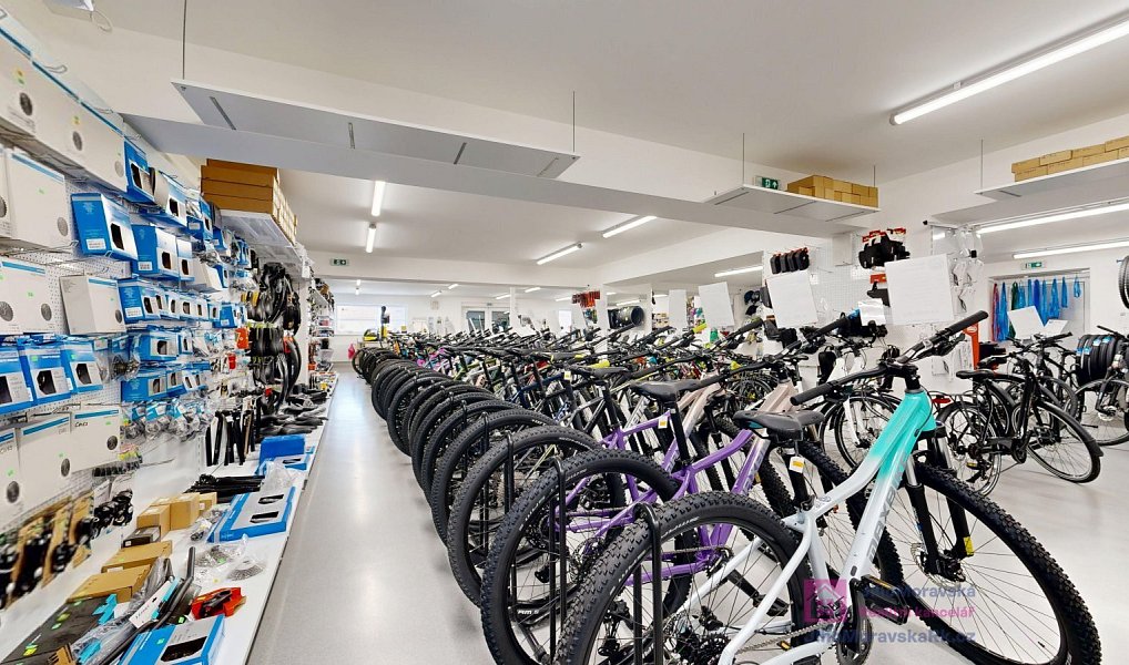 Prodej obchodních prostor 639 m², Březí – náhled fotky 6