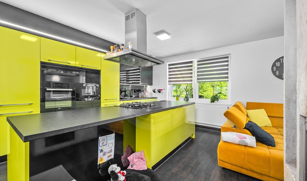 Prodej domu 333 m² s pozemkem 305 m², České Budějovice – náhled fotky 8