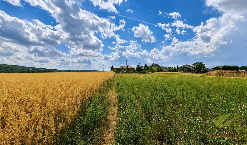 Prodej stavebního pozemku 1 156 m², Útušice – náhled fotky 11