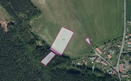 Prodej louky 19 893 m², Zaječice, okres Chrudim