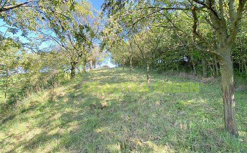 Pronájem louky 938 m², Podolí, okres Vsetín