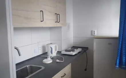 Pronájem bytu 1+kk 29 m², Grusova, Pardubice - Polabiny