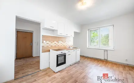 Prodej bytu 1+1 45 m², Palackého, Ostrava - Přívoz