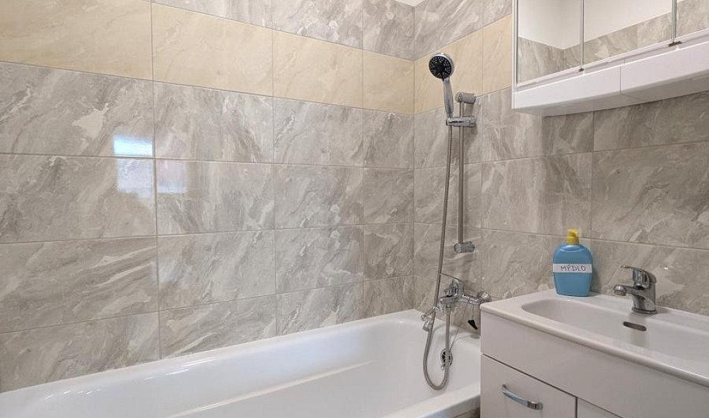 Pronájem pokoje 11 m², Mladá Boleslav – náhled fotky 6