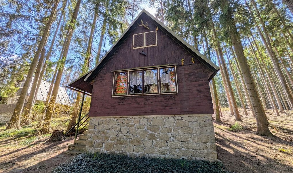 Prodej chaty/chalupy 47 m² s pozemkem 38 m², Dobrá Voda – náhled fotky 4