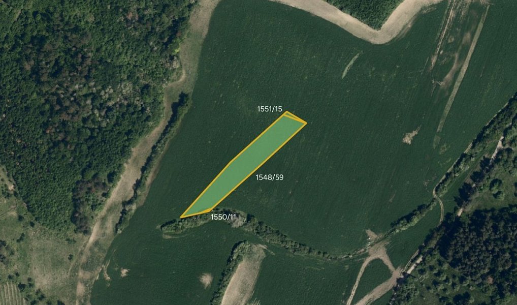 Prodej pole 14 142 m², Kyjov – náhled fotky 3
