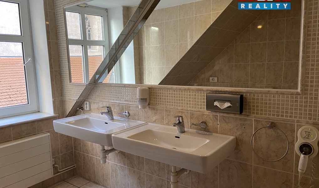 Pronájem bytu 4+kk 110 m², Plzeň – náhled fotky 19