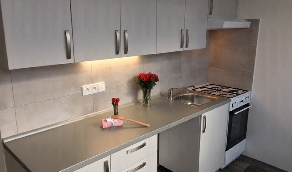 Pronájem bytu 2+1 54 m², Ostrava – náhled fotky 2