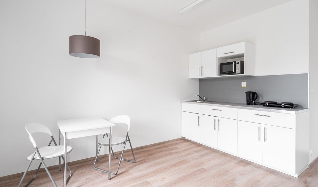 Pronájem bytu 1+kk 36 m², Plzeň – náhled fotky 4