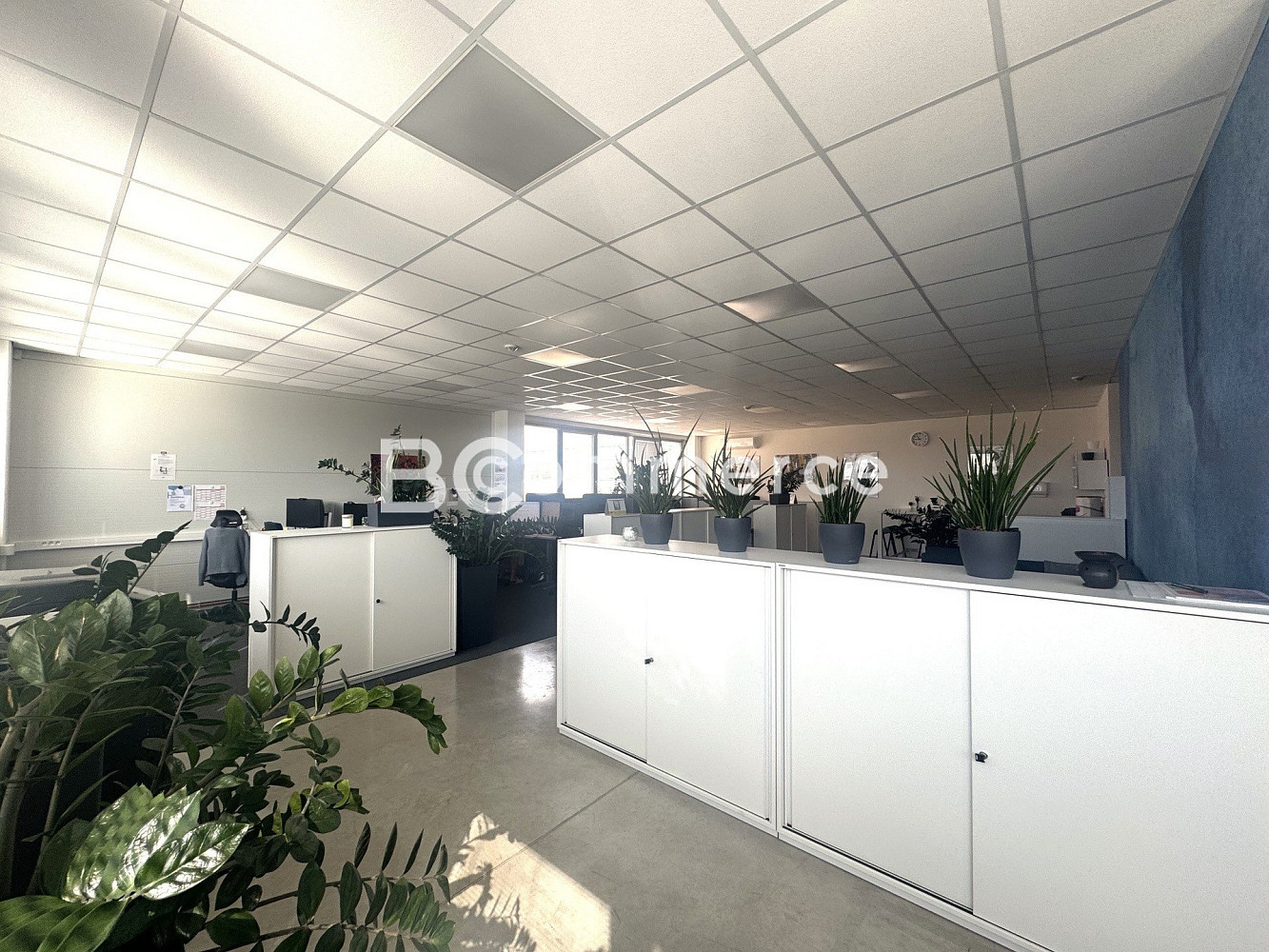 Pronájem kanceláře 146 m² – fotografie 2