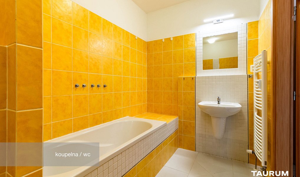 Prodej bytu 3+kk 69 m², Plzeň – náhled fotky 9