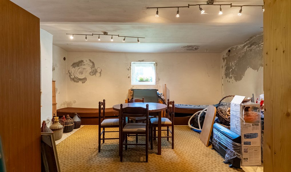 Prodej domu 612 m² s pozemkem 4 214 m², Fryšták – náhled fotky 37