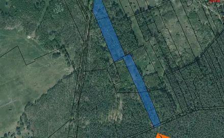 Prodej lesa 2 067 m², Nová Ves, okres Plzeň-Jih