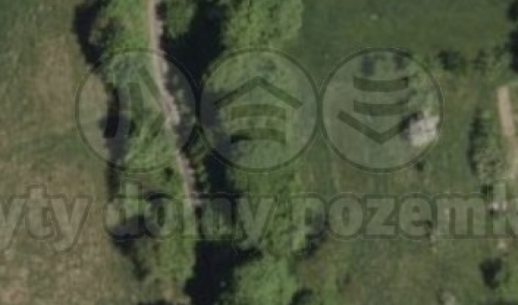 Prodej lesa 2 146 m², Nýdek – náhled fotky 4