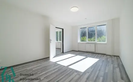 Pronájem bytu 1+1 38 m², Purkyňova, Ústí nad Labem - Střekov
