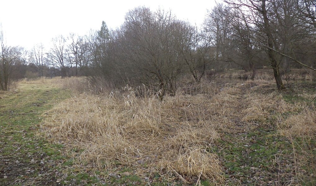 Prodej pozemku 6 591 m², Novosedly nad Nežárkou – náhled fotky 2