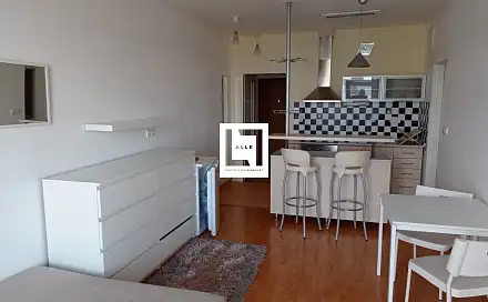 Pronájem bytu 1+kk 37 m², Mošnerova, Olomouc - Nová Ulice