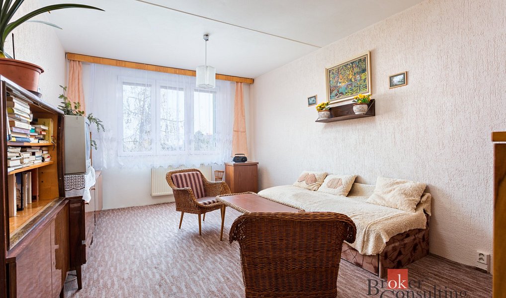 Pronájem bytu 1+1 40 m², Plzeň – náhled fotky 2