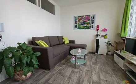 Prodej bytu 1+1 45 m², Vodňanská, České Budějovice - České Budějovice 2