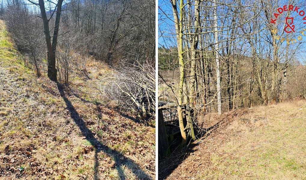 Prodej stavebního pozemku 2 360 m², Březová nad Svitavou – náhled fotky 8
