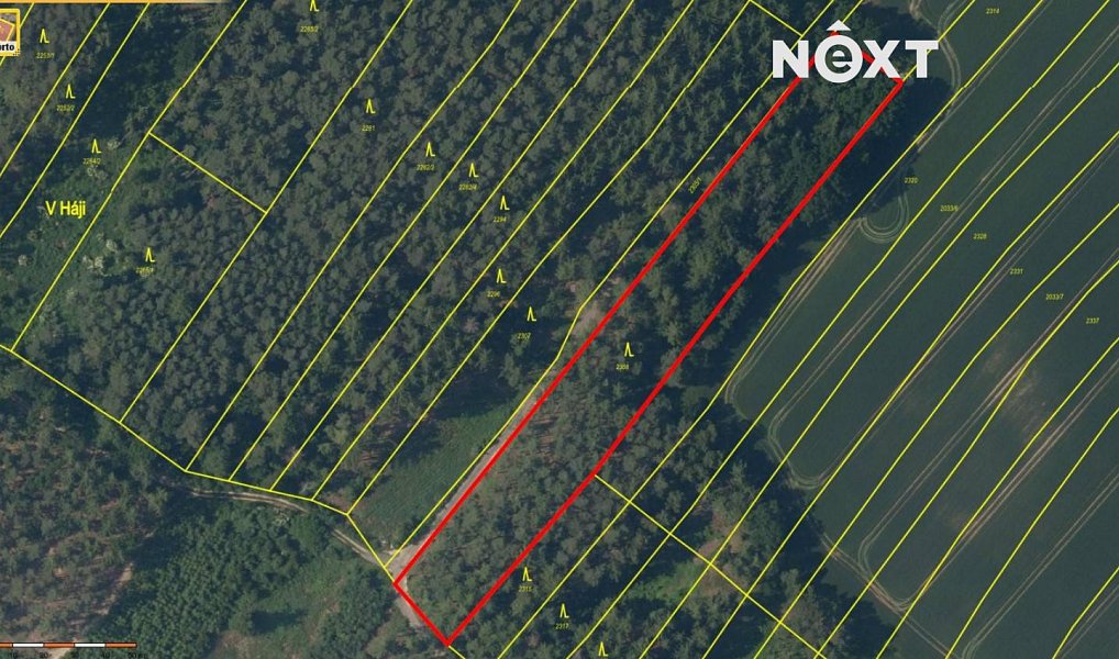 Prodej lesa 26 205 m², Třeboc – náhled fotky 4