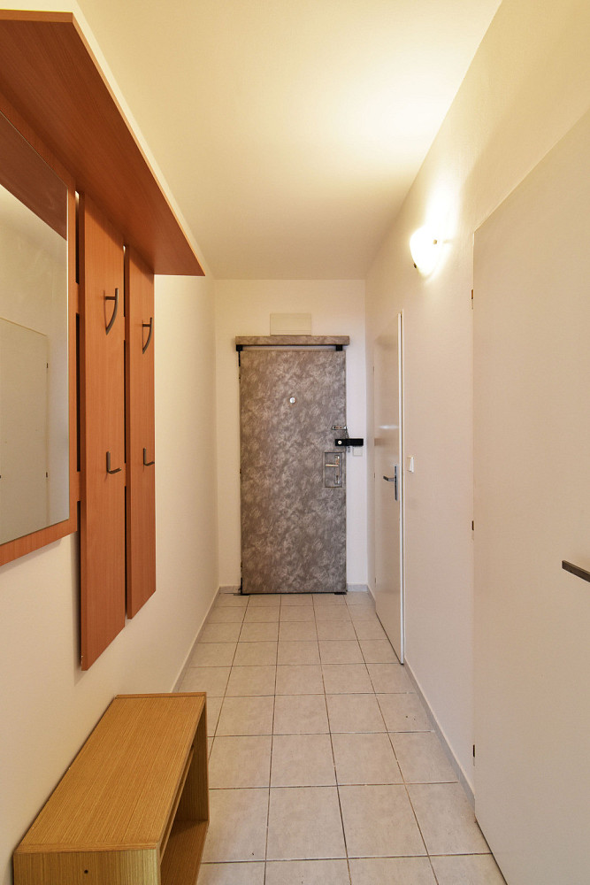 Pronájem bytu 1+kk 40 m² – fotografie 4