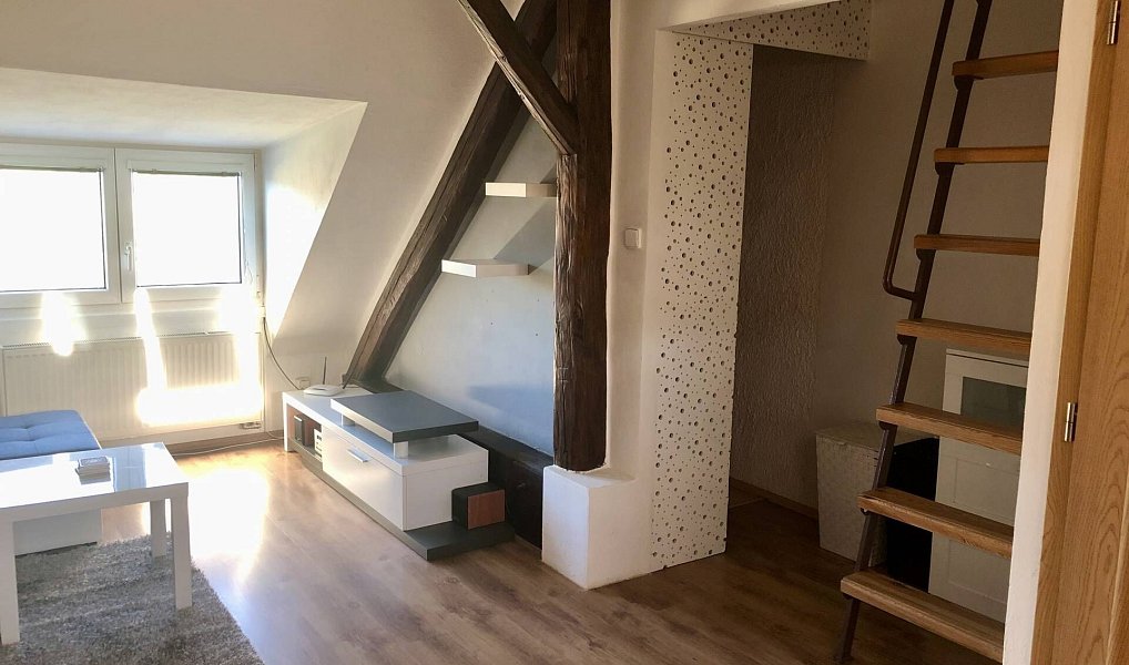Pronájem bytu 1+kk 40 m², Třešť – náhled fotky 3