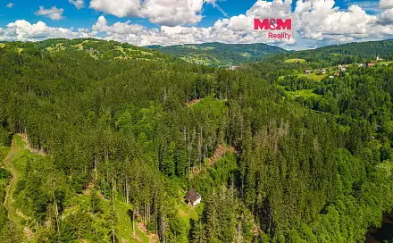 Prodej lesa 18 052 m², Jablonec nad Jizerou - Dolní Tříč, okres Semily