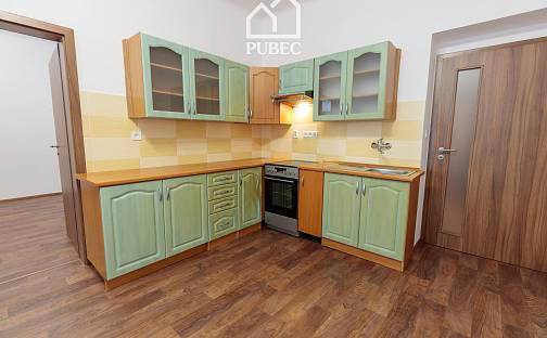 Prodej bytu 2+kk 52 m², Čechova, Plzeň - Jižní Předměstí