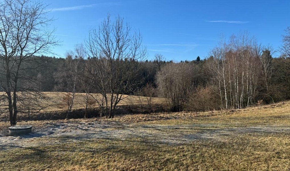 Prodej stavebního pozemku 3 022 m², Doudleby – náhled fotky 4