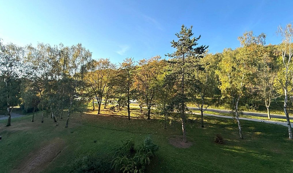 Pronájem bytu 2+kk 40 m², Most – náhled fotky 14