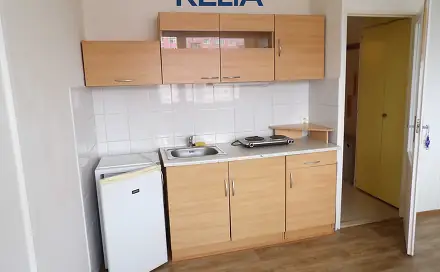 Pronájem bytu 1+kk 21 m², Rychtářská, Liberec - Liberec XIV-Ruprechtice