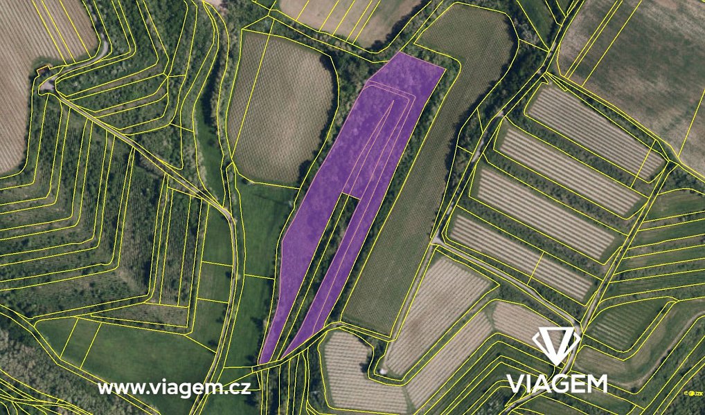 Prodej pole 37 151 m², Nikolčice – náhled fotky 4