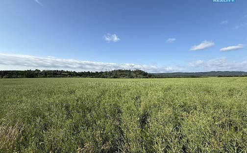 Prodej pole 8 056 m², Rožmitál pod Třemšínem - Skuhrov, okres Příbram