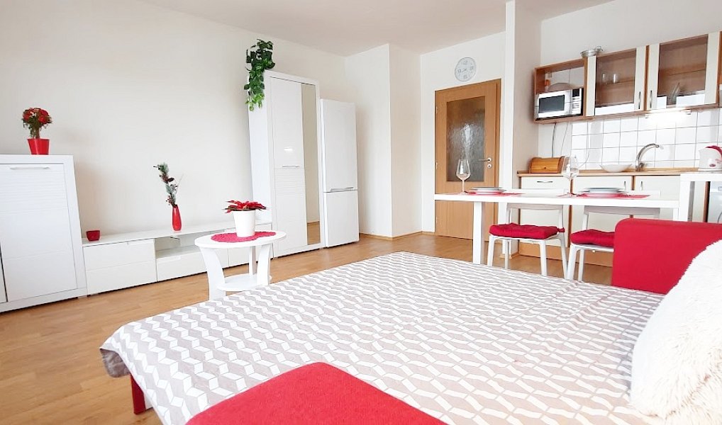 Pronájem bytu 1+kk 38 m², Brno – náhled fotky 8