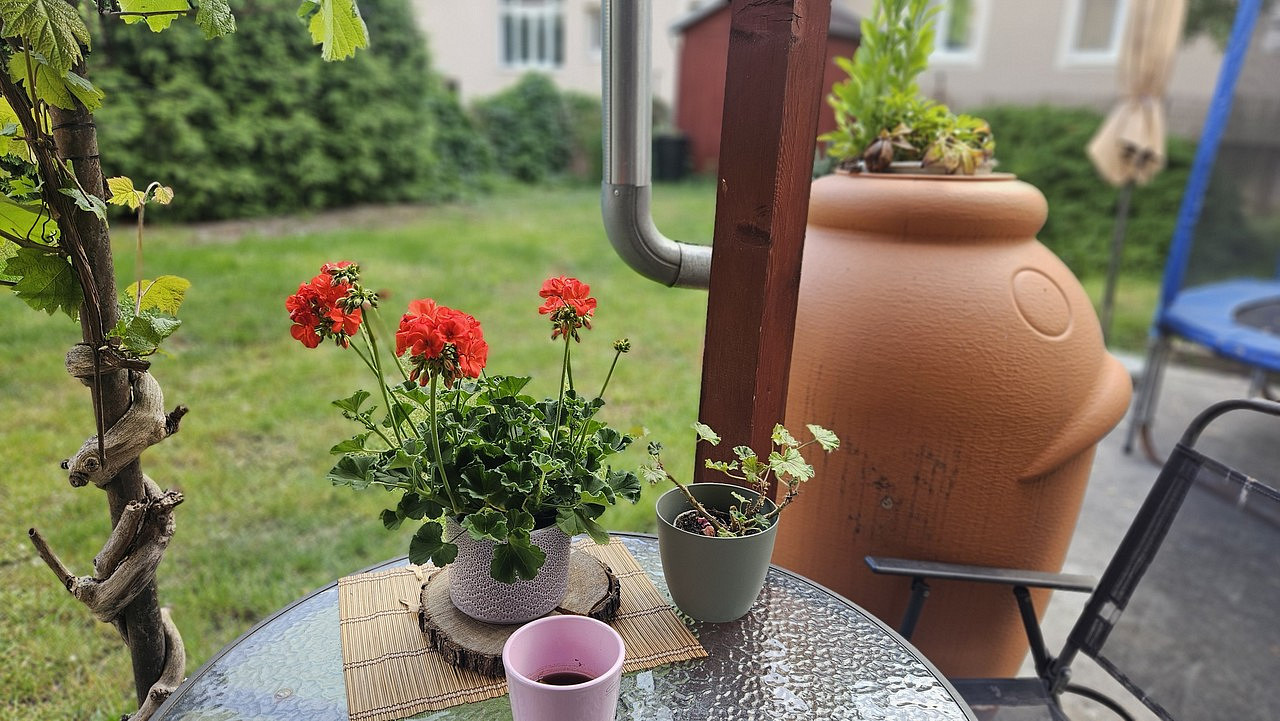 Dům – Ústí nad Labem, Střekov – pohled 4