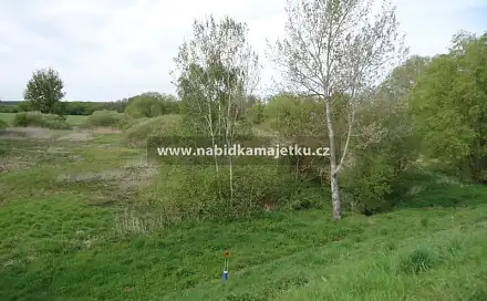 Prodej pozemku 1 399 m², Vstiš, okres Plzeň-Jih