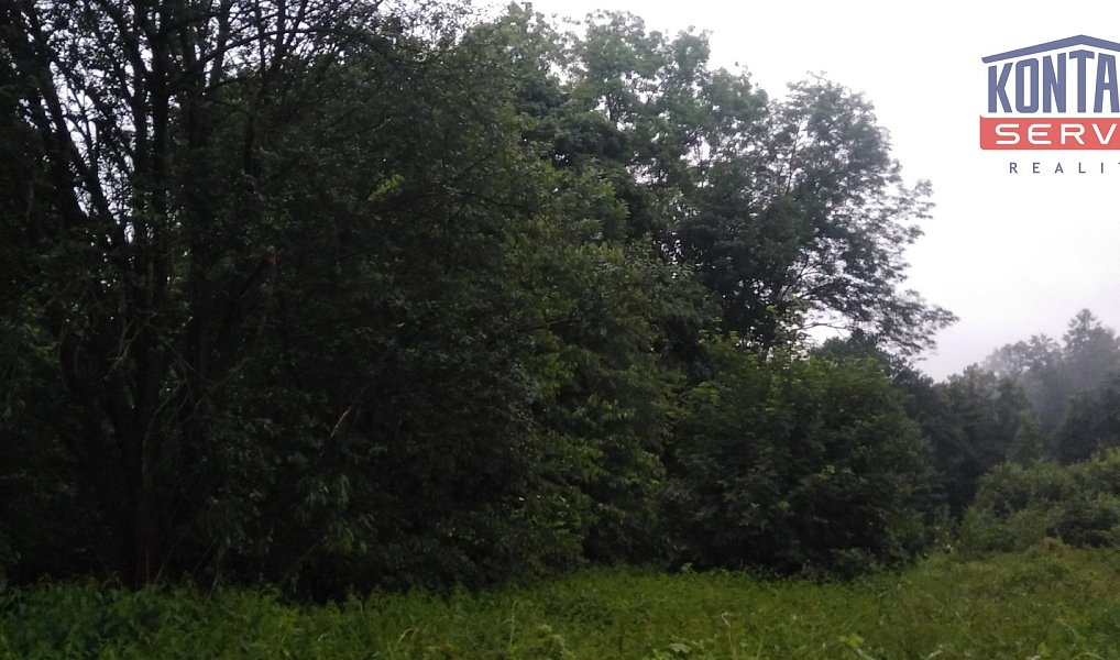 Prodej lesa 7 376 m², Hodslavice – náhled fotky 7