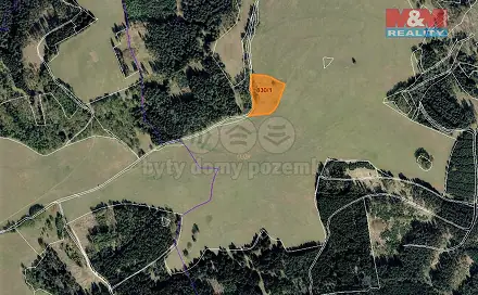 Prodej louky 8 556 m², Březová, okres Sokolov