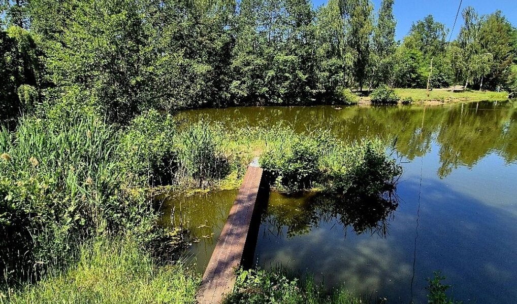 Prodej vodní plochy 8 425 m², Obruby – náhled fotky 6